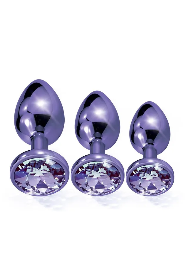 GLOBAL NOVELTIES Anal NIXIE METAL BUTT PLUG TRAINER SET