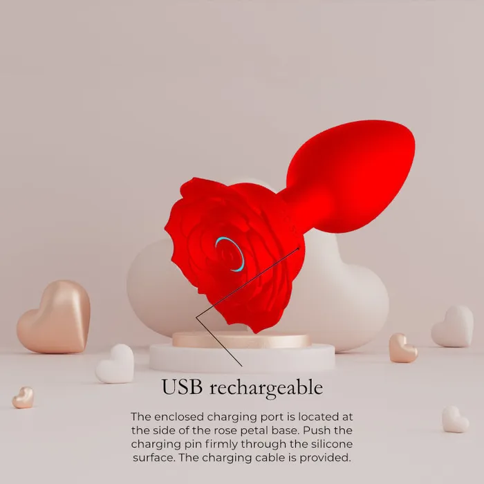 Radiant Rhythms Vibrating Anal Plug FRISKY BUSINESS SG Male Sex Toys