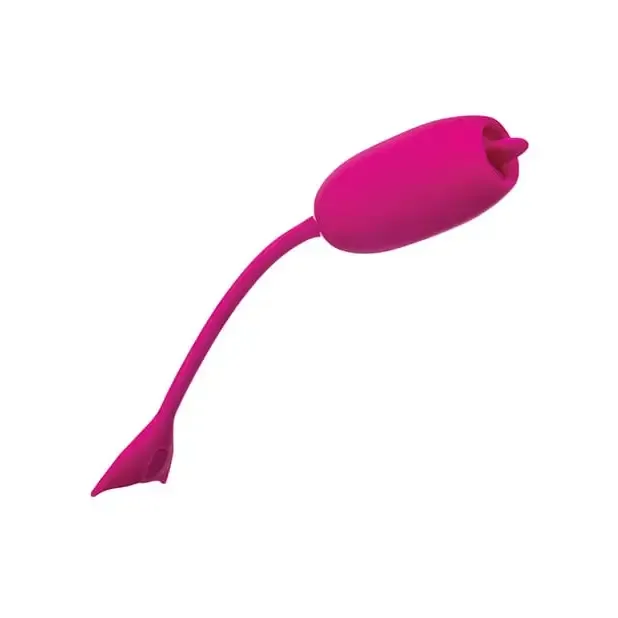 CalExotics Female Sex Toys Rechargeable Kegel Teaser CalExotics Female Sex Toys Rechargeable Kegel Teaser