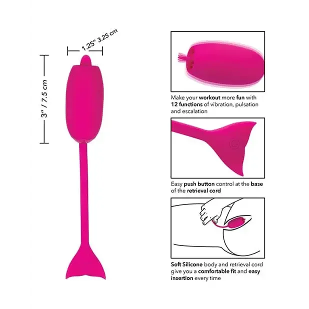 CalExotics Female Sex Toys Rechargeable Kegel Teaser CalExotics Female Sex Toys Rechargeable Kegel Teaser