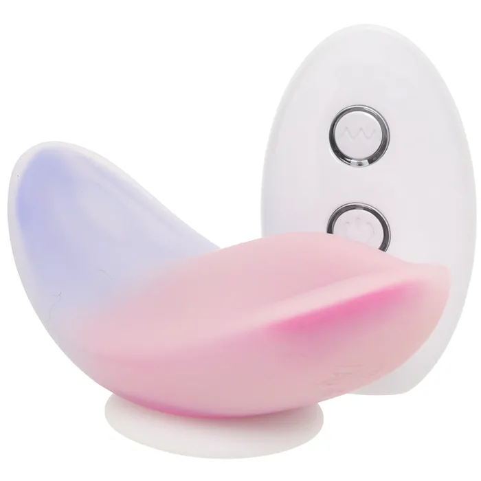 Paradise Remote Panty Vibe Evolved Novelties Female Sex Toys