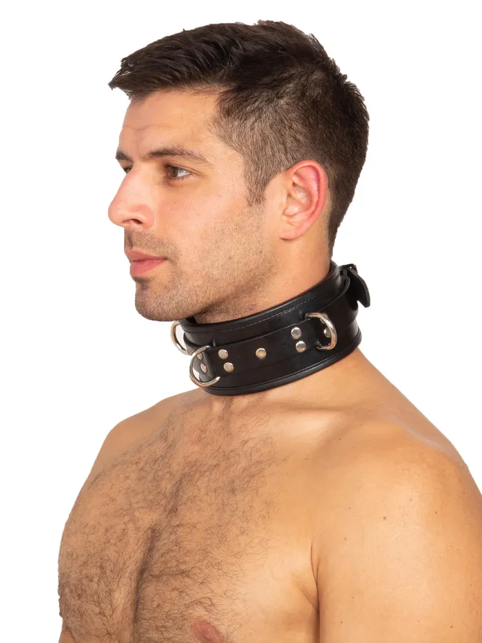 Vibrators HonourSkintwocom Leather Deluxe Padded Collar