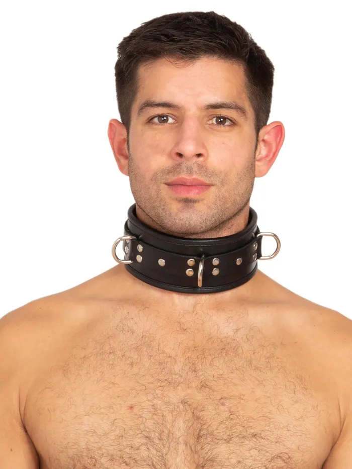 Vibrators HonourSkintwocom Leather Deluxe Padded Collar