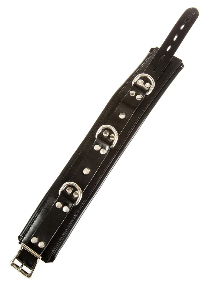 Vibrators HonourSkintwocom Leather Deluxe Padded Collar
