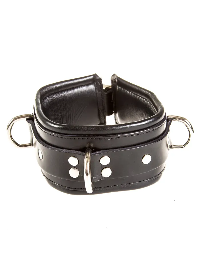 Vibrators HonourSkintwocom Leather Deluxe Padded Collar