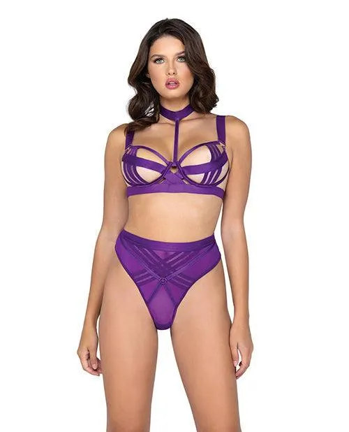 Roma Costume INC Vibrators Bondage Stripe Demi Cup Underwire Bra Panty Purple