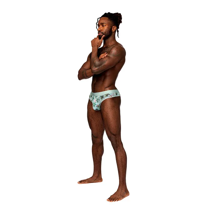 Male Sex Toys Male Power Male Power Sheer Prints Sheer Thong Flamingo LXL