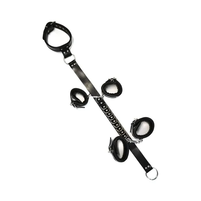 Rouge Group LTD Anal Rouge D Ring Hogtie Blackred