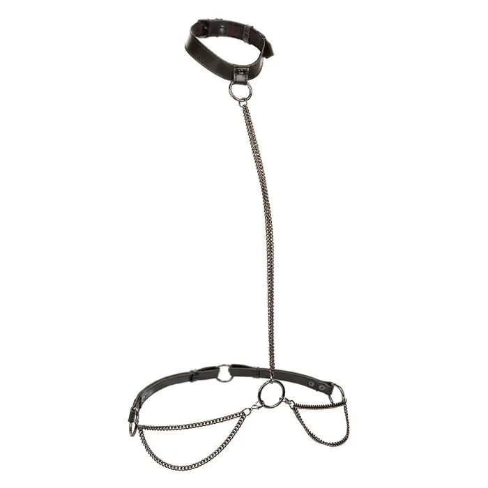 Euphoria Collection Chain Haltercollar and Leash Black 2024 Holiday Sale Specials Anal